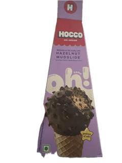 Hocco Ice Cream Hazelnut Mudslide