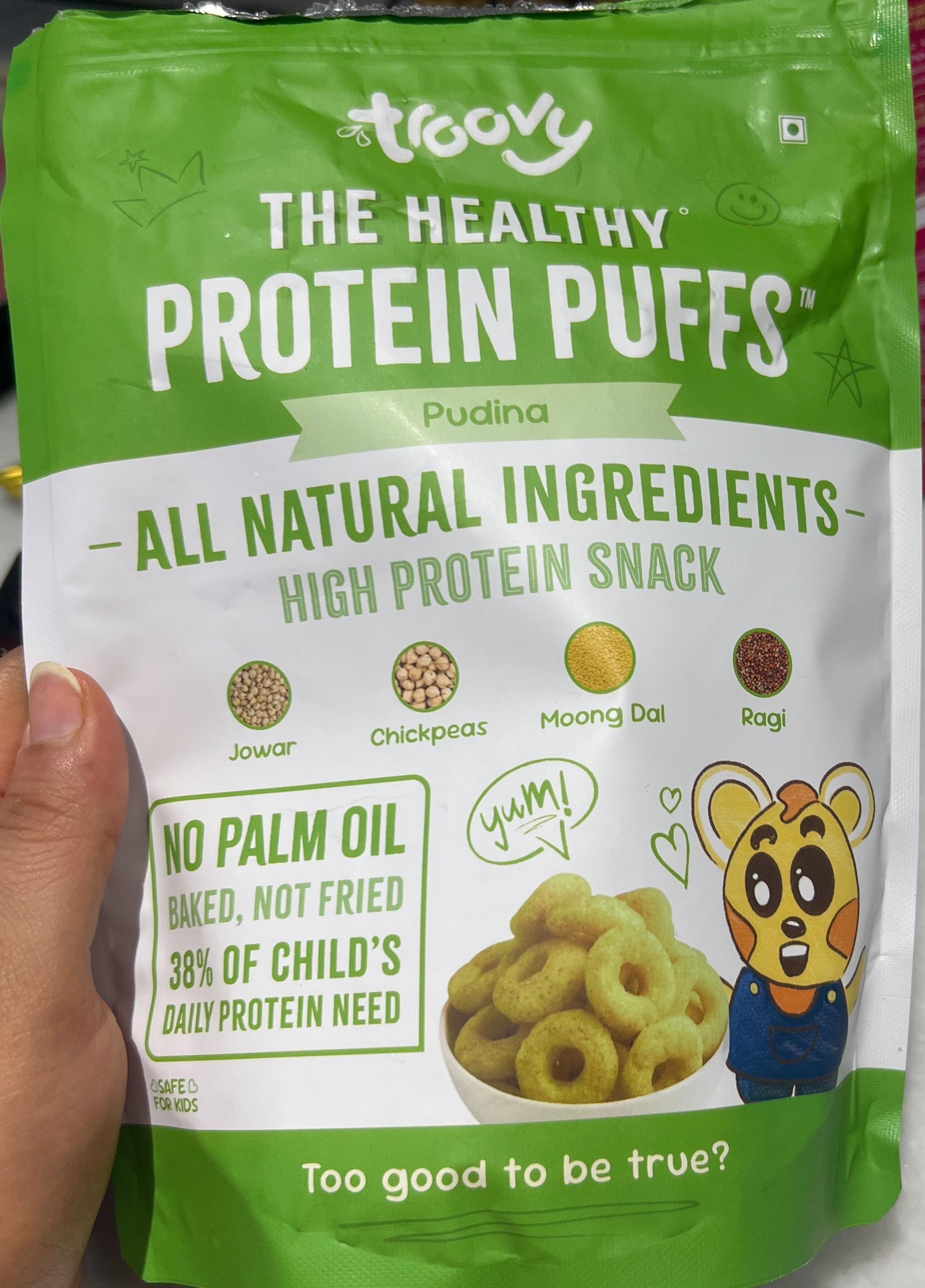 Troovy The Healthy Protein Puffs Pudina